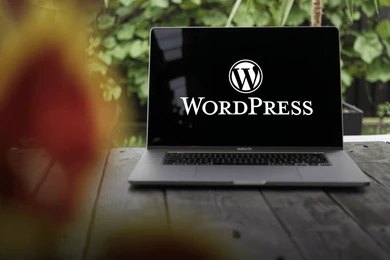 Wordpress